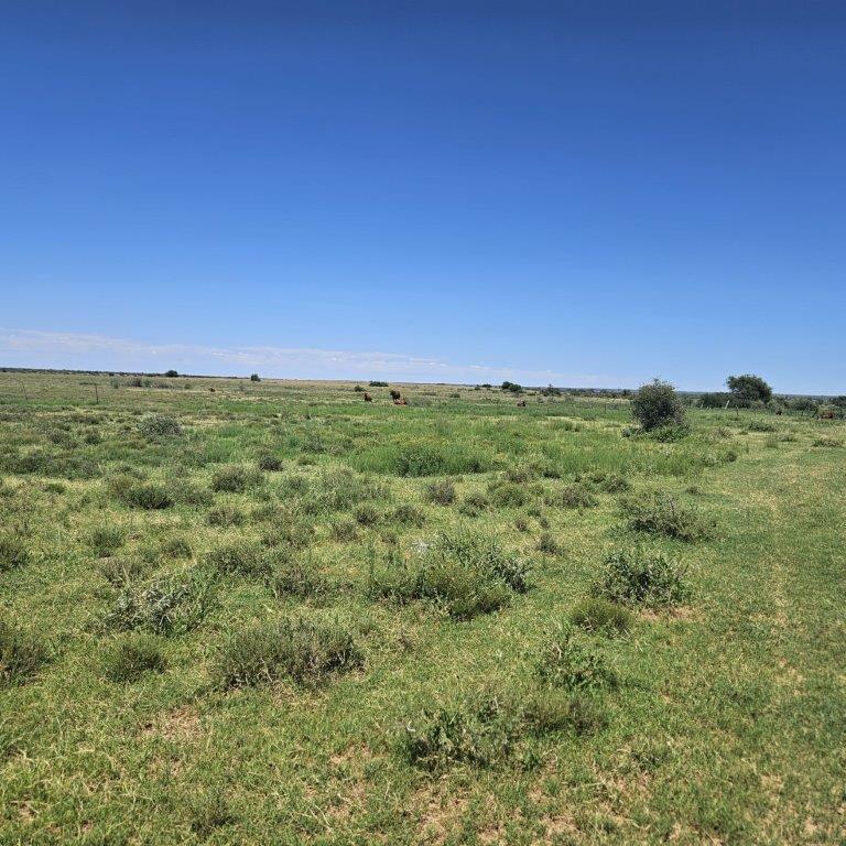 0 Bedroom Property for Sale in Windsorton Northern Cape